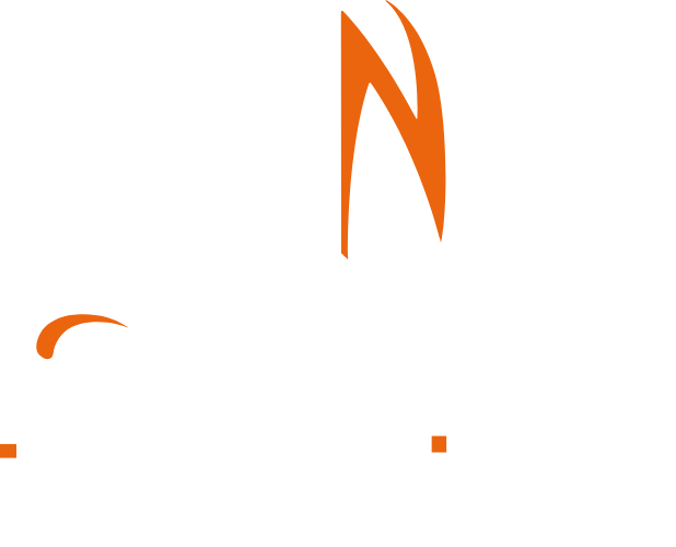 Team Noah